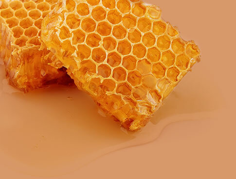 Méhpempő és méhkenyér