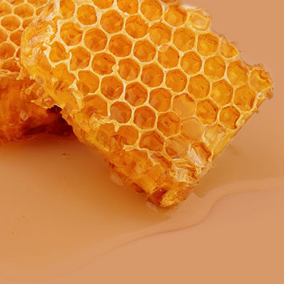 Méhpempő és méhkenyér